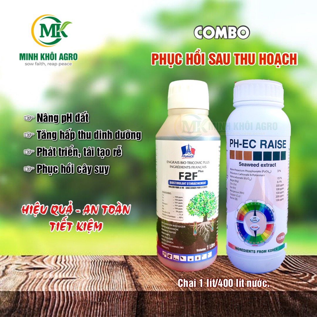 Combo Phục hồi sầu riêng sau thu hoạch